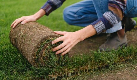Fresh sod being laid for a new lawn